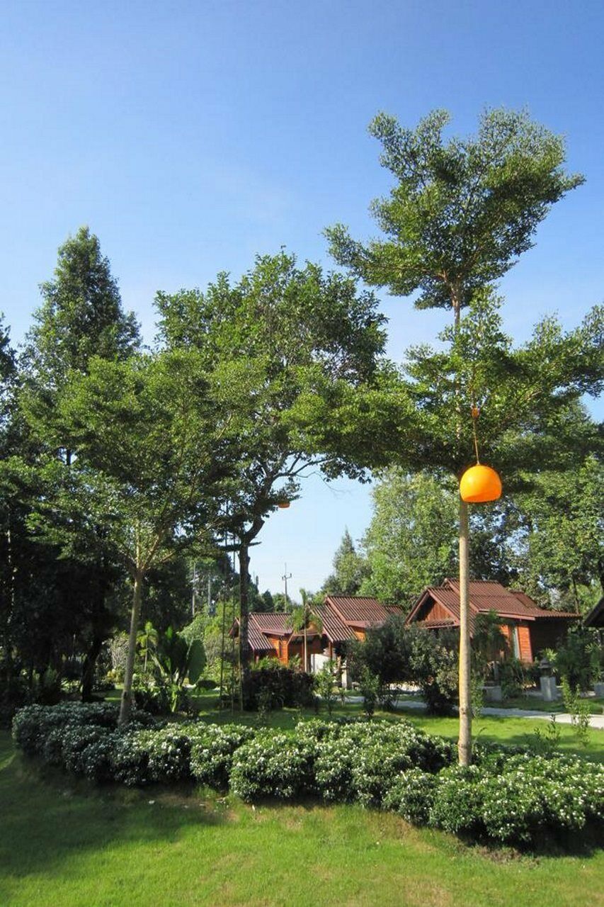 فندق Ao Nangفي  Orange Tree House Aonang المظهر الخارجي الصورة